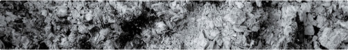 科學基礎減碳目標（SBT）符合聯合國氣候變化協議（巴黎協定）要求。設立此類目標的企業更具抗風險能力，也能展現國際永續責任。